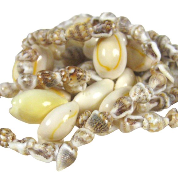 Seashell Necklace  34 In Strand Beaded Shell Beach Sea Ocean Shells NO CLASP - Picture 7 of 7